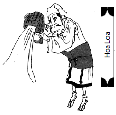 hoa loa